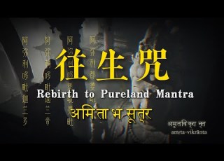  往生咒 赛博佛经 Rebirth To Pureland Mantra अम त भ स त र