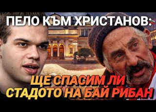 Бачийски и Пело ХРИСТАНОВ ще се погрижи за СТАДОТО на БАЙ РИБАН