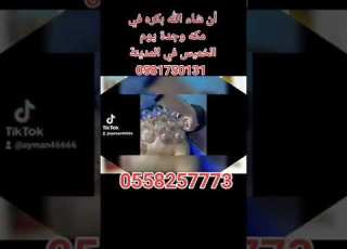 ان شاءالله بكون في مكه وجدة بكره ويوم الخميس في المدينة المنورة و الجمعه والسبت والأحد في الرياض