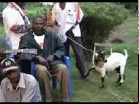 Wanyama Ome Bindahabona Husyalo Samia Uganda Music Video Wanyama Ome Bindahabona Husyalo Samia Uganda Music Video