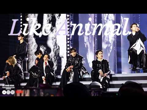 4K 260321 Like Animals ARIRANG BTS NETFLIX THE COMEBACK LIVE GWANGHWAMUN 방탄소년단 광화문 ENG SUBS