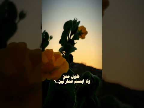 ماله اشباه على مر الزمان
