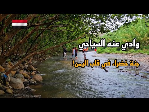 أجمل مناظر اليمن وادي عنه السياحي مع أغنية وادي الضباب للفنان أيوب طارش أجمل مناظر اليمن وادي عنه السياحي مع أغنية وادي الضباب للفنان أيوب طارش