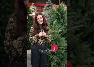 Artificial Christmas Trees At Dobbies