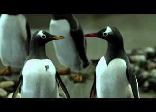 MR POPPER S PENGUINS International Trailer 2