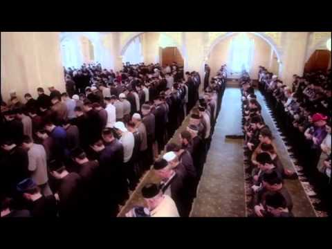 أصيل فرحات يا الله يا عالي