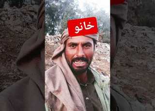  مهرجان هما زي ما هما عاملين هيصة وزيطه ولما