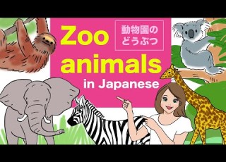 Zoo Animals In Japanese どうぶつえん Doubutsu Elephant Camel Giraffe Hippo Koala Sloth