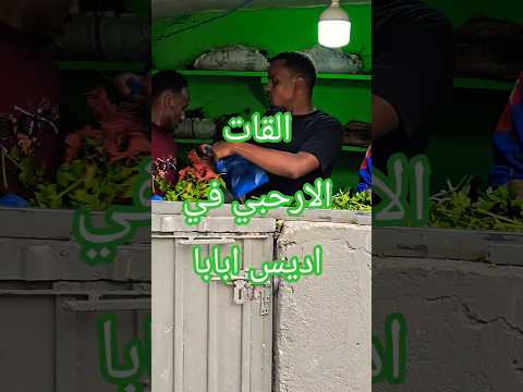 القات المتتشو ا أديس أبابا إثيوبيا سياحة السعودية اليمن Travel