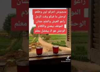  العشره غاليه جدا