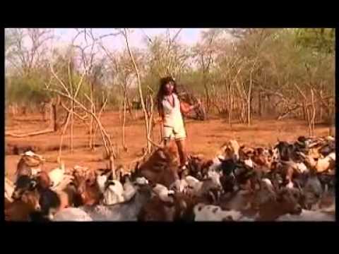 Somalian Music Hamer Muda Scheda Meron Teferi Mesonegaya