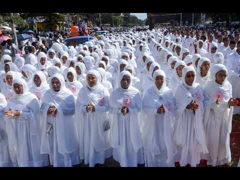 የማኅበረ ቅዱሳን መዝሙር አልበም ቁጥር 2 Mahibere Kidusan Mezmur Album 2 የማኅበረ ቅዱሳን መዝሙር አልበም ቁጥር 2 Mahibere Kidusan Mezmur Album 2