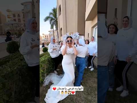 النهارده فرحي ياجدعان Song Sorts Wedding Egypt Love افراح Weddingphotogr