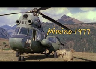 Mimino 1977
