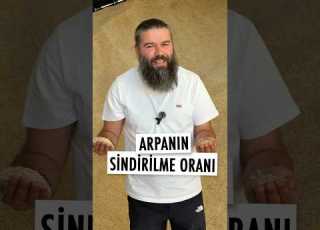 Arpanın Sindirilebilirliği Ham Tane Mi Kırılmış Mı Yoksa Flake Mi Daha Avantajlı Hayvanbesleme