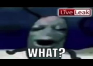 Plankton Perishes