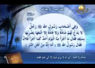  8 The Book Of Faith Pearls And Coral On What The Two Sheikhs Agreed Upon