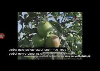  Gerber 2012 реклама