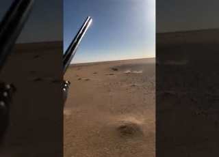 صيد الغزال ليبيا مقناص السعودية الفقع الترفاس