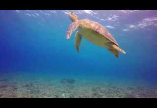 كل شمس وقمر وحبيبات المطر سبحت رب البشر أباذر الحلواجي