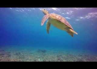 كل شمس وقمر وحبيبات المطر سبحت رب البشر أباذر الحلواجي