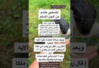 تسخير خادم من الجن المسلم