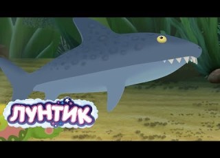 Лунтик Пруд Сборник мультфильмов для детей