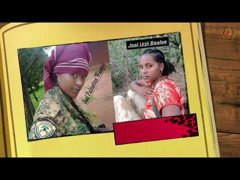 JAAL IBSAA DHIBAA GALMAA GARGAR BAANE