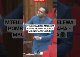 MTEULE WA RAIS AMELEWA POMBE AKATOA SILAHA MBUNGE ASSENGA Breaking Globaltv Bungeni