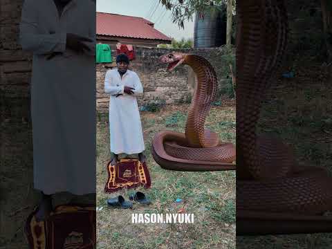 Ar Rahman Al Quran Views Viralreels Makkah Recitation 1millionviews Shorts