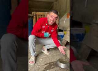 بودينا دالبوادن ههههه