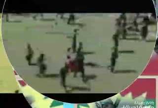 Aster Seenaa Tadee Biru