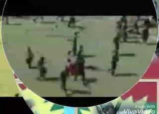 Aster Seenaa Tadee Biru