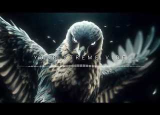 YoXv Falcon S Fury Original Mix