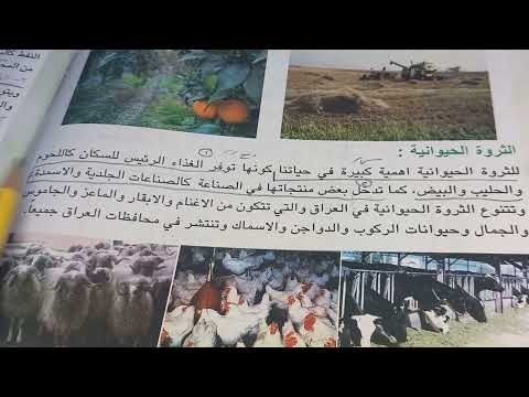 اجتماعيات صفحة 36 و 37 للصف الخامس ابتدائي الزراعة والنفط