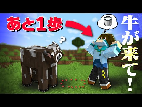 歩数を制限してケーキを作る事は出来るのか 歩数制限サバイバル