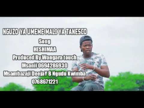 Nguzo Ya Umeme SONG HESHIMA DEEJAY B NGUDU KWIMBA MSAMBAZAJI 0768671221