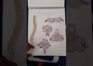  Block De Dibujo Anatomía Del Cuerpo