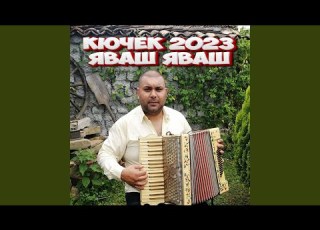 ягоди кючек
