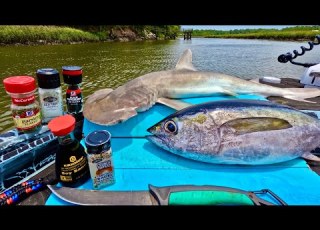 Fresh TUNA SHARK Catch N Cook On The Boat
