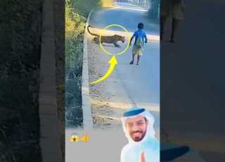  لم يكن هناك طريق للنجاة لكن لطف الله يصنع الطرق حين تنعدم ابلور لايك Shorts