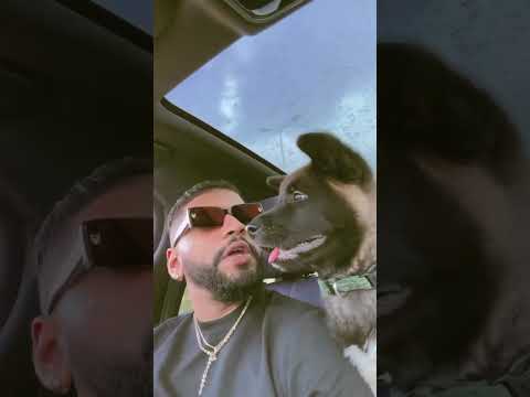 GRANDE SAMARA TOP REELS 2025