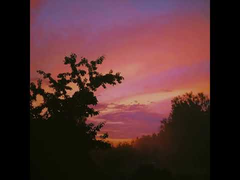 Shootout X Yes To Heaven