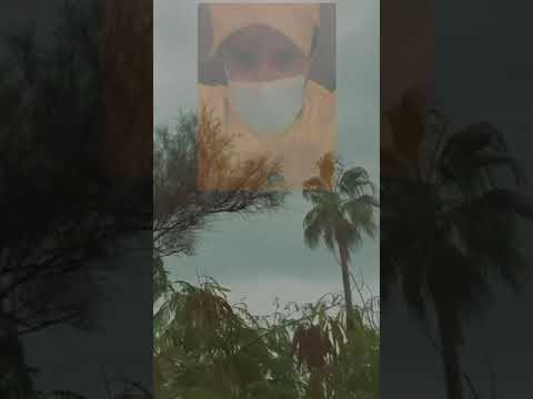 سميها جنون ابو ناصر