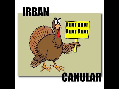 IRBAN CANULAR ALLO DANDOU Guerr GUerrr Guerrrr