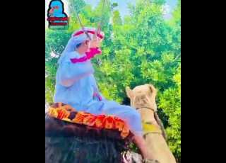 زف العرسان لدي الرزيقات