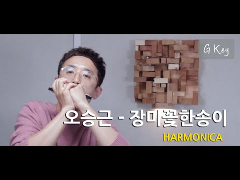 오승근 장미꽃한송이 Harmonica Cover 정훈