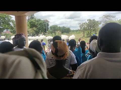 At Home In Lalogi 01 Her Final Resting Place