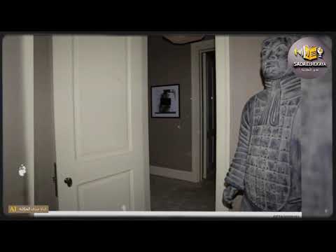 اشياء غريبة ومحنطة داخل الجزيرة الغامضة