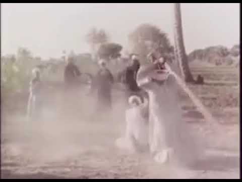 ولا حد خالى من الهم